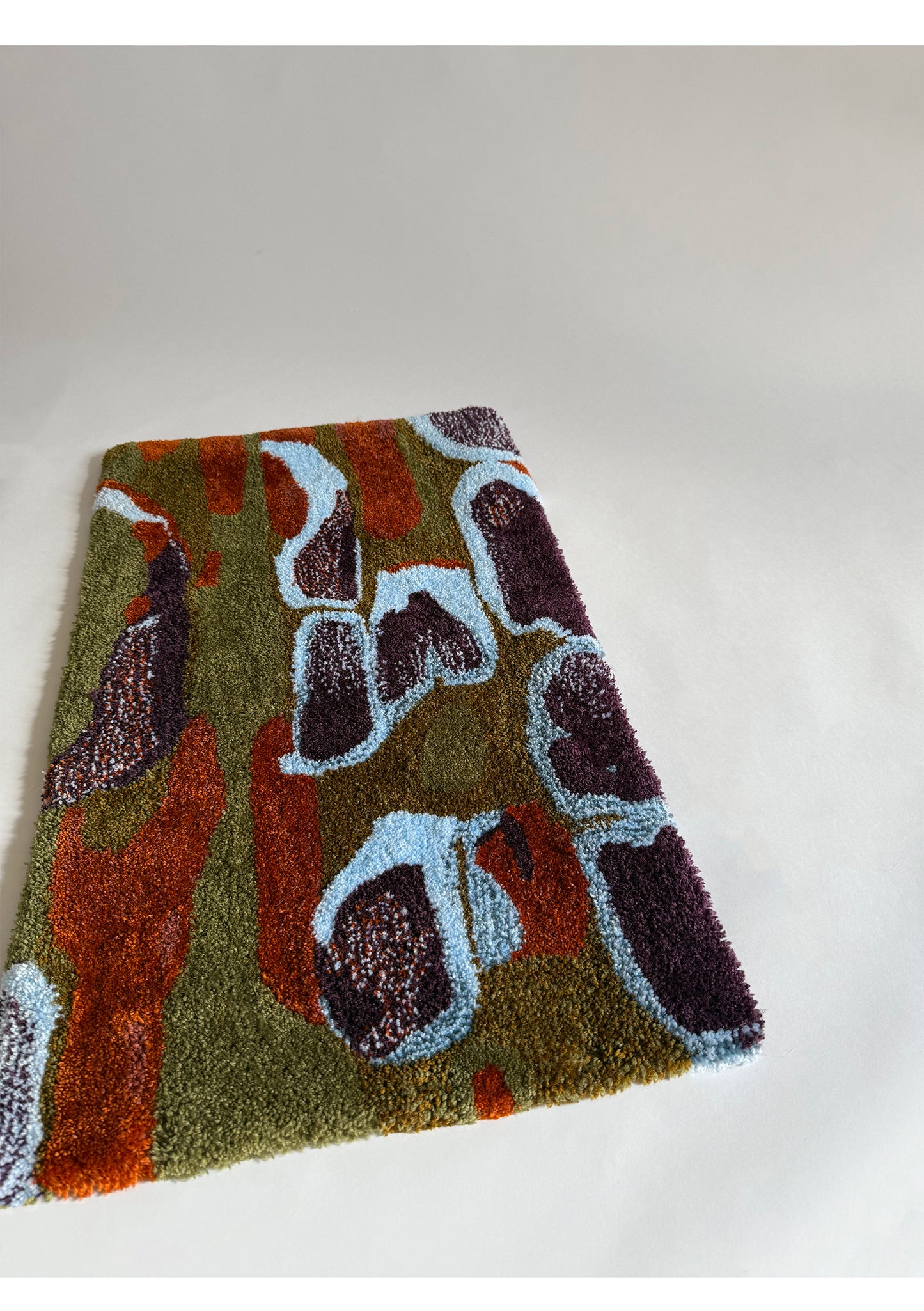 Cyprès glabre, 77x46cm