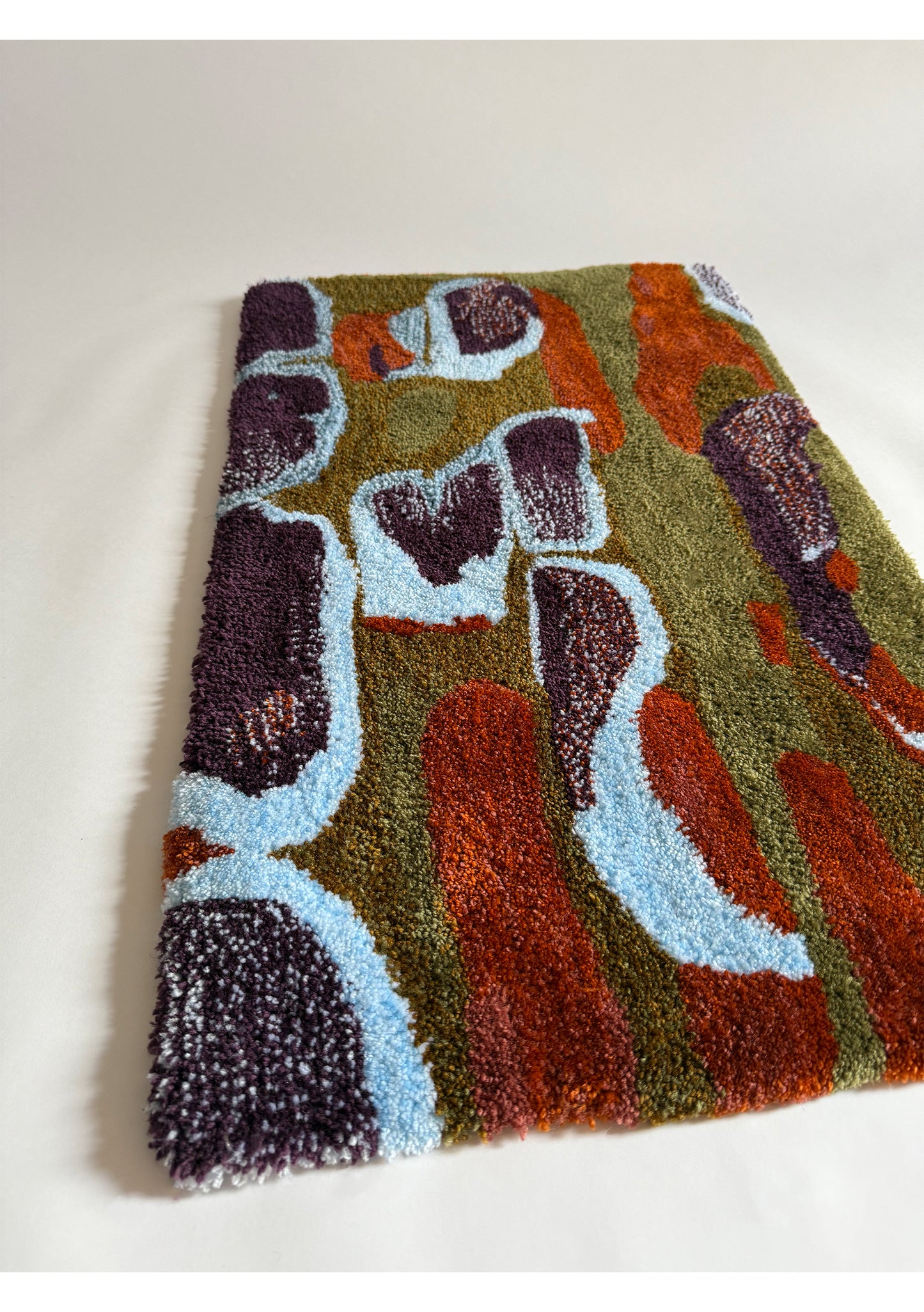 Cyprès glabre, 77x46cm