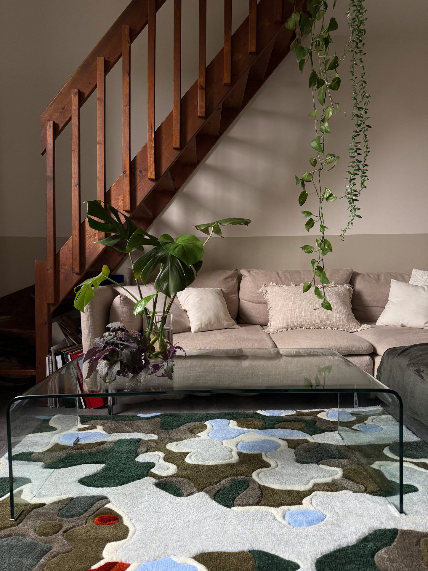 Platane, 175x126 cm