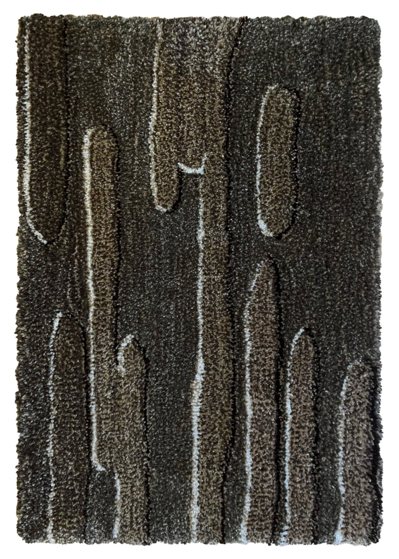 Bouleau d'Erman, 72x46cm