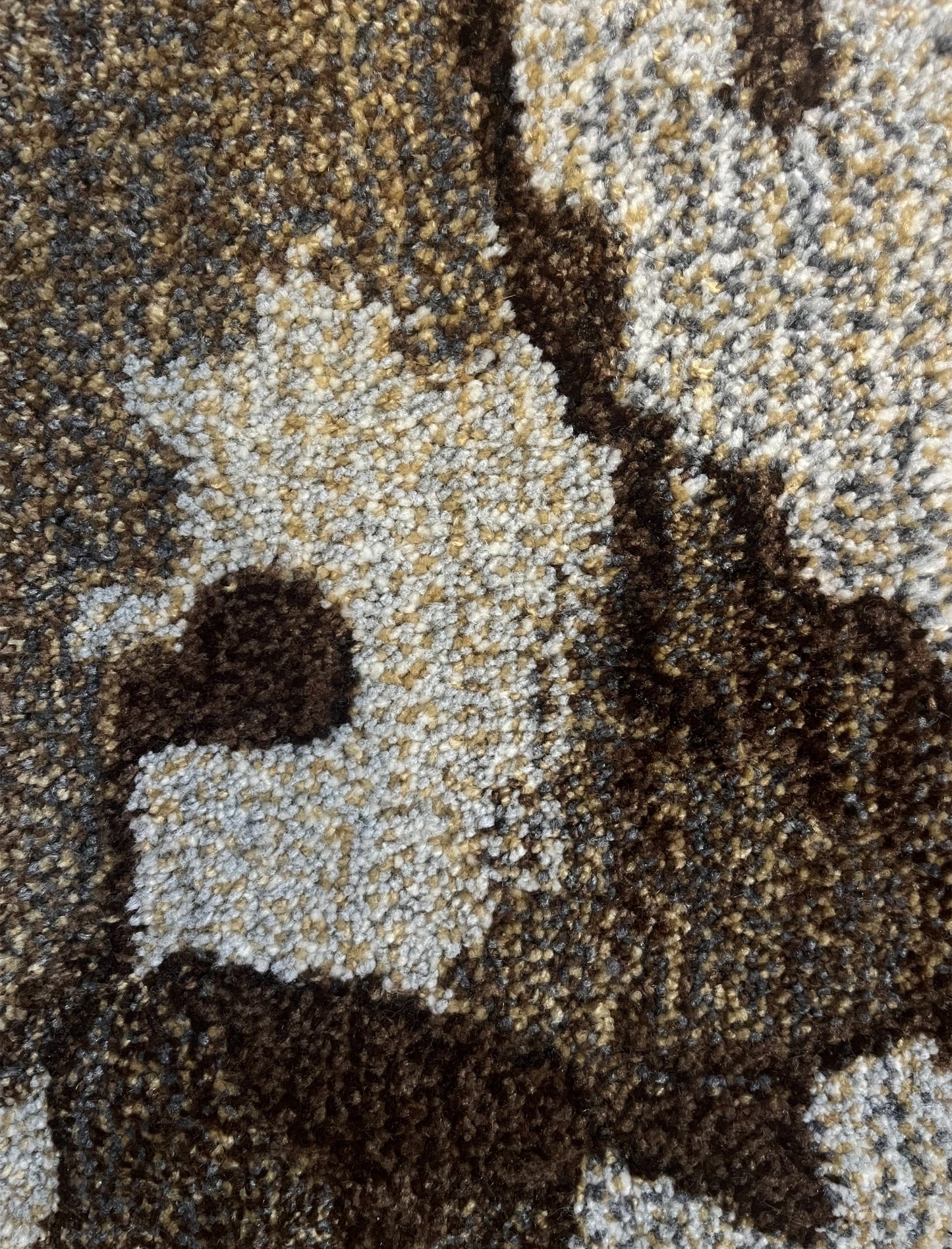 Acacia, 77x46cm