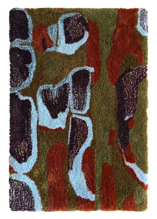 Cyprès glabre, 77x46cm